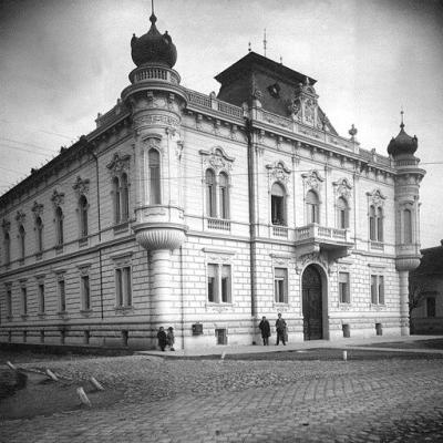 Kronic Palata Venac Zivojina Misica 1926. Ias F 43 Inv. 824